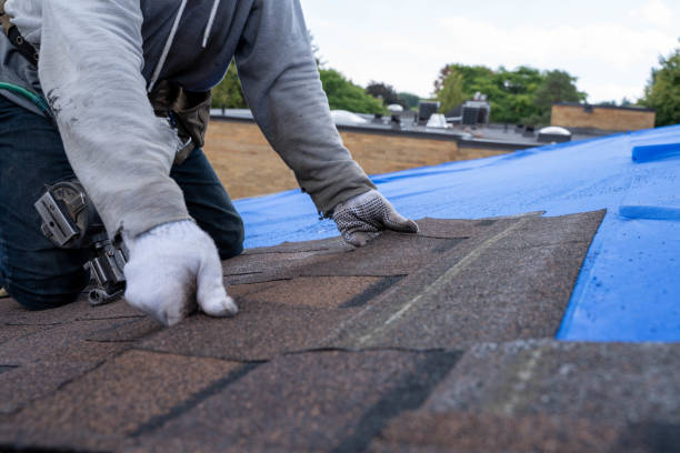 Roof Repair Estimates in Brighton, MI