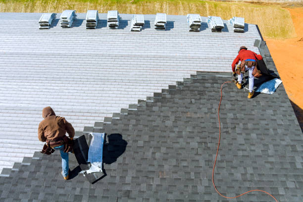 Best Roof Restoration Services  in Brighton, MI