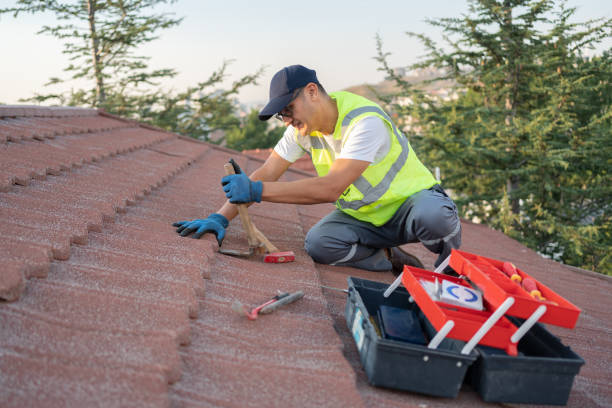 Best Metal Roofing Contractor  in Brighton, MI