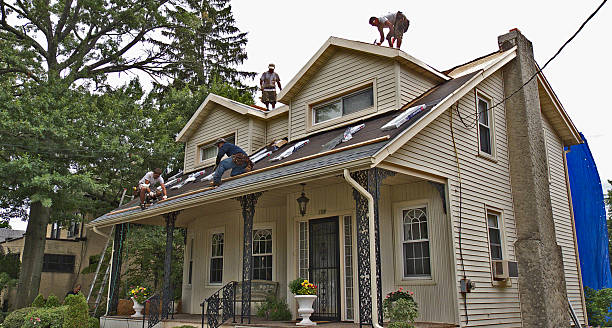 Best New Roof Installation  in Brighton, MI
