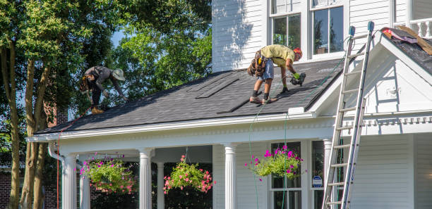Best Emergency Roof Repair  in Brighton, MI
