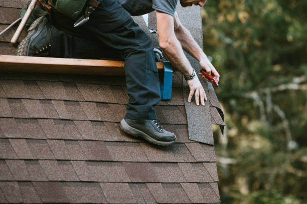 Best Residential Roofing Contractor  in Brighton, MI
